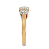 Eden Diamond Three Stone Ring