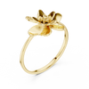 Ladies Ring