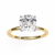 Eleanor Diamond Solitaire Ring