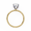 Eleanor Diamond Solitaire Ring