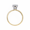 Evangeline Diamond Solitaire Ring