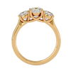 Eva Diamond Three Stone Ring
